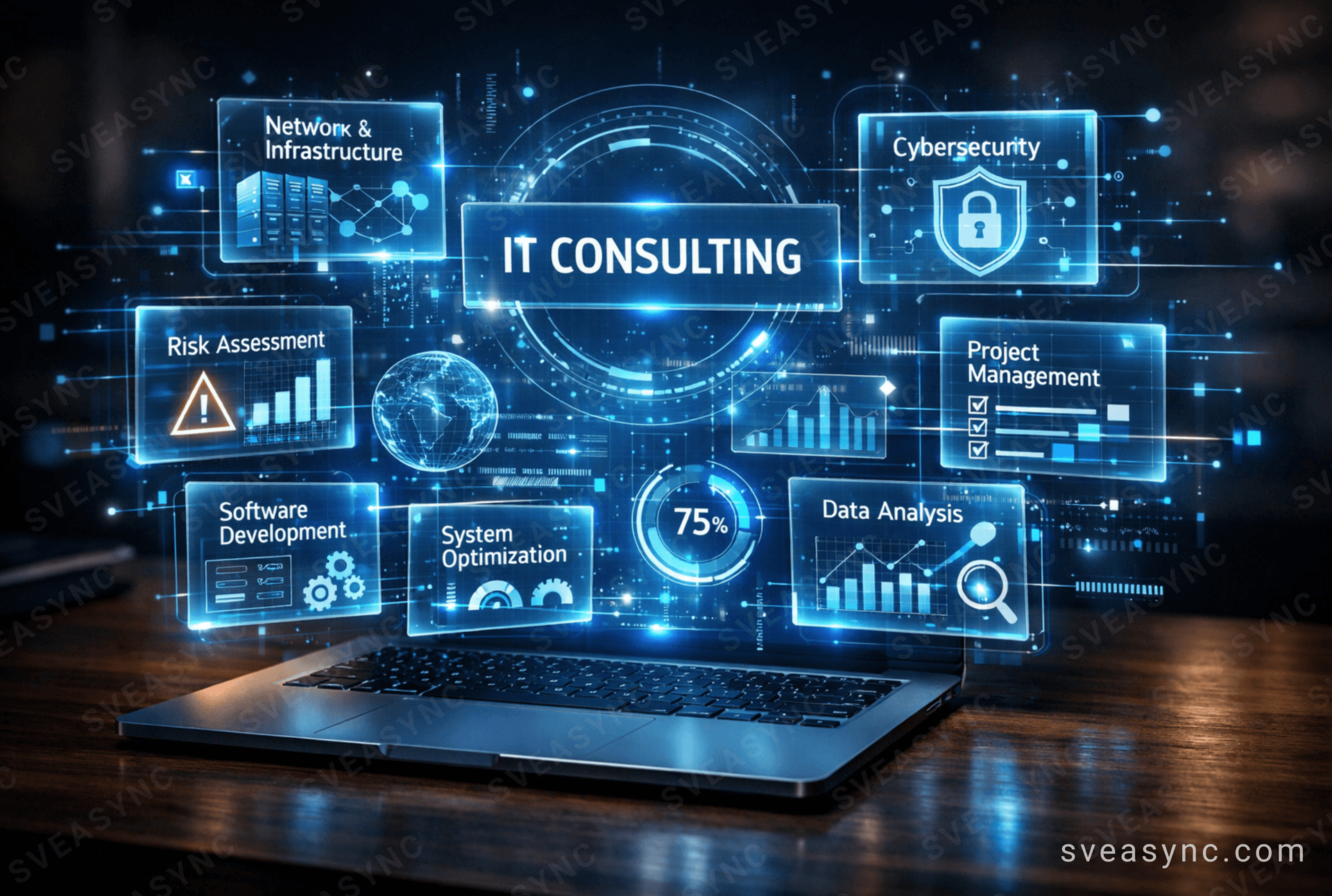 IT Consulting